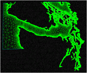 A black and green grid mesh for the Straights of Juan de Fuca and Puget Sound