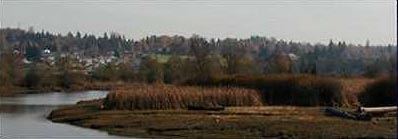 Qwuloolt wetland pic