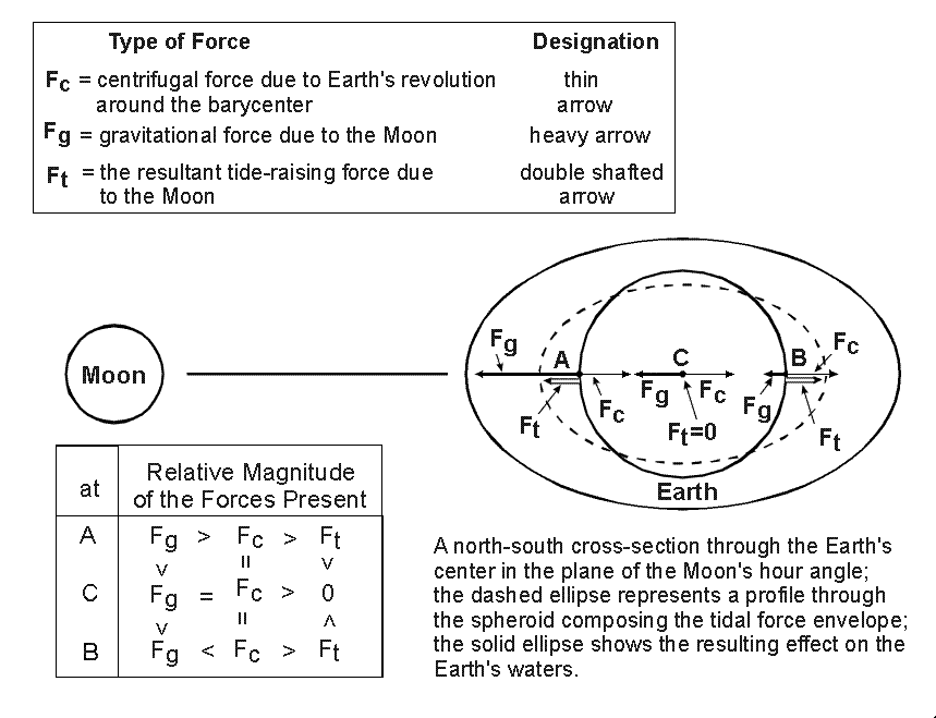 The Combination of Forces of Lunar Origin Producing the Tides
