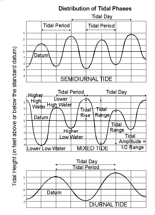 Principal Types of Tides